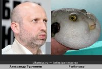 Животные похожие на людей