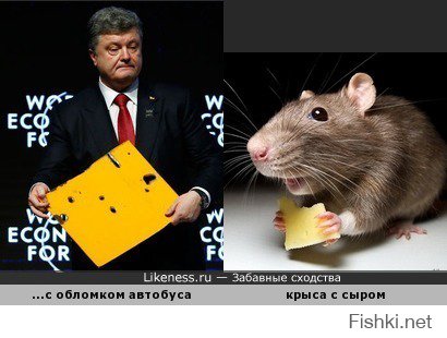 Животные похожие на людей