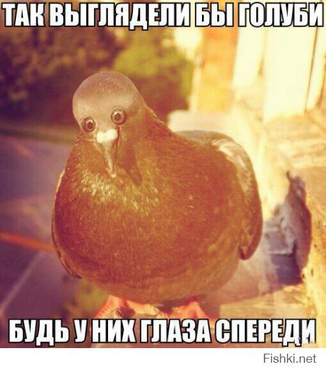 я укатился аххаааа