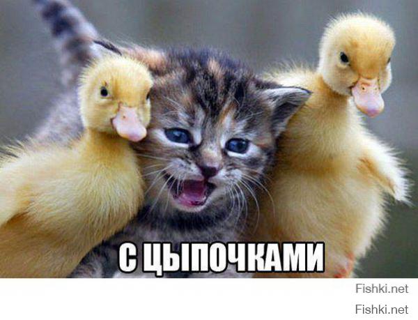 Гламурные снимки с животными