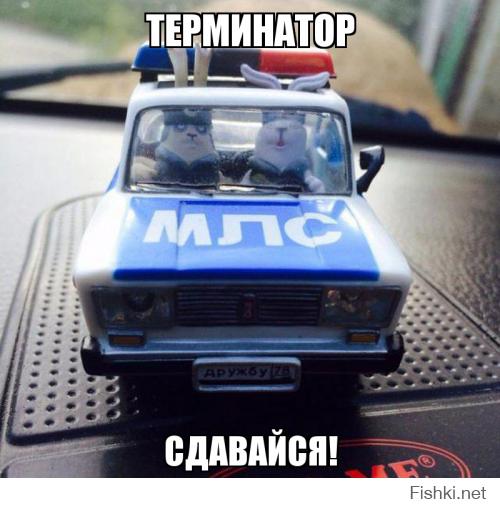 Приключения железного Арни
