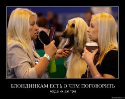 Она от туда?