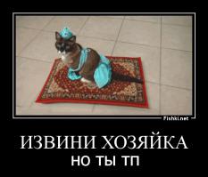 кто нить плюсаните, а то у меня 666 лайков)))