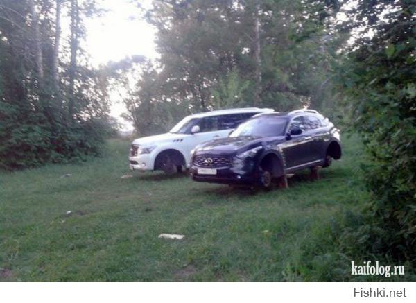 вот у этих удалась так удалась...