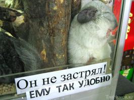 Застрял