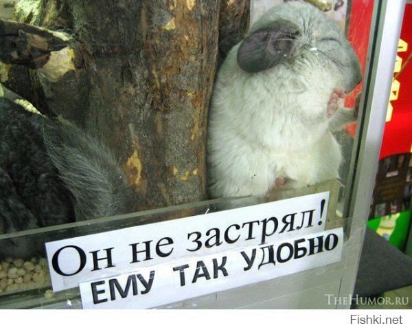 Застрял