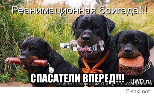 День рождения взрослого, состоявшегося мужчины