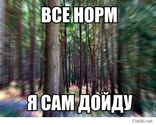 Фишкина солянка за 18.08.2014
