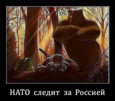 Перепись укропитеков. Часть 6