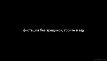 Интересные факты о разных видах орехов