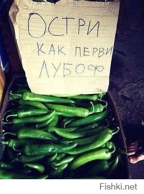 Смешные надписи и объявления