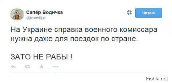 Украинцы такие украинцы
