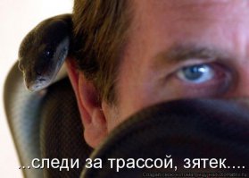 Подборка прикольных фото