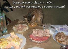 Фишкина солянка за 09.09.2014
