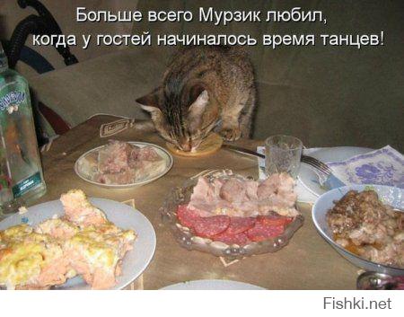 Фишкина солянка за 09.09.2014