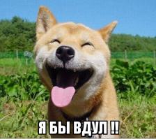Веселая молочница