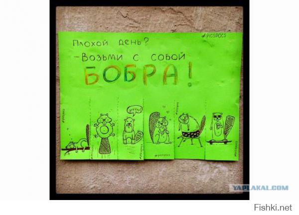 Котик доставил, дарите добро!