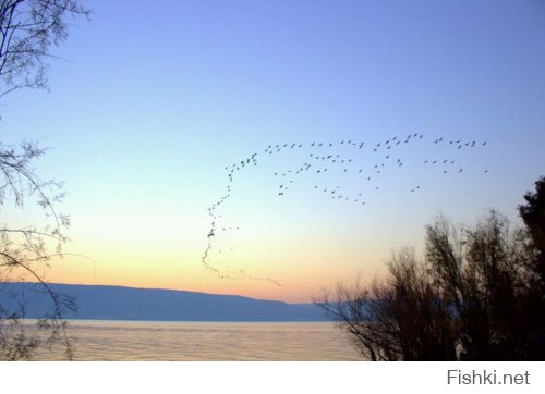Фото сделанные в нужный момент