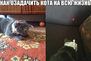 Фишкина солянка на 16.10.2014