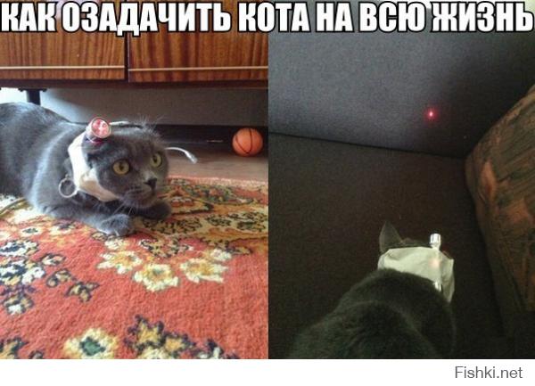 Фишкина солянка на 16.10.2014