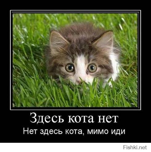 Мастер маскировки