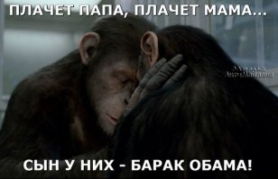 Да он вообще cyка негр