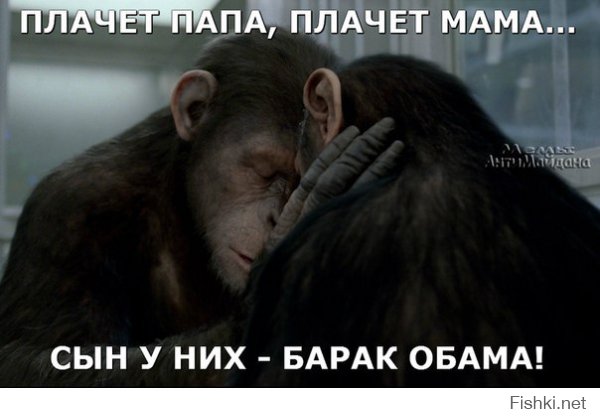 Да он вообще cyка негр