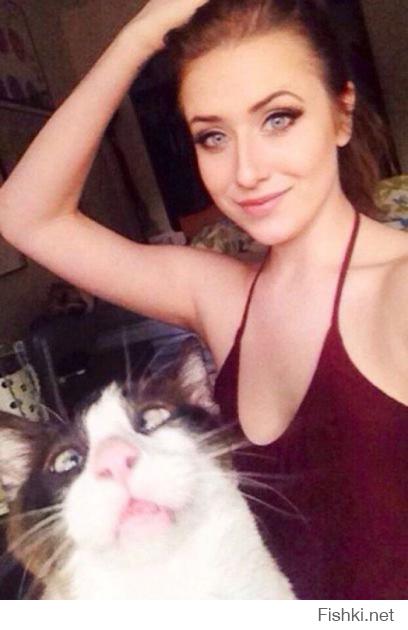 Котэ отжог!