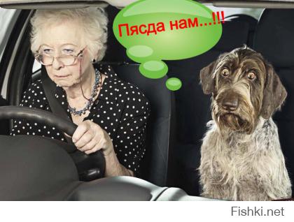 Девушки и авто