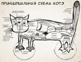 Кошачий пост
