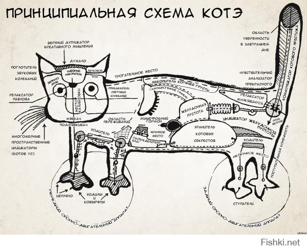 Кошачий пост