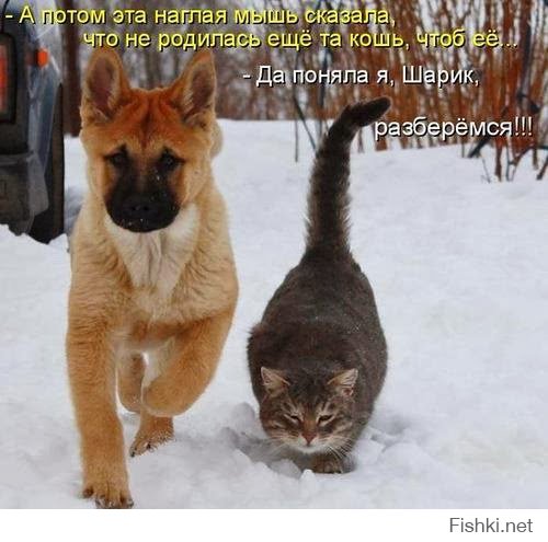 Я думаю, тебе нужна моя помощь!