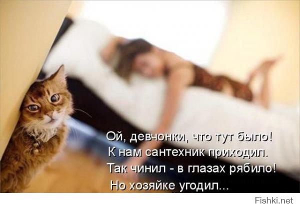 Прикольные картинки с комментариями