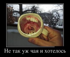Просто смешные картинки с подписями