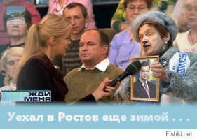Гифки дня