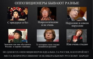 солянка политическая #10