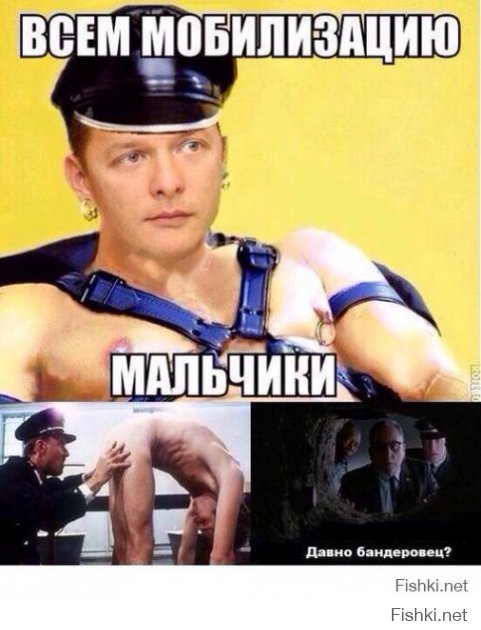 "Мыздобулы" в картинках. Смешных и не очень...