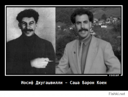 Забавные сходства