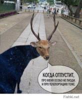 Я выросла, я ухожу