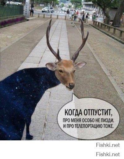 Я выросла, я ухожу