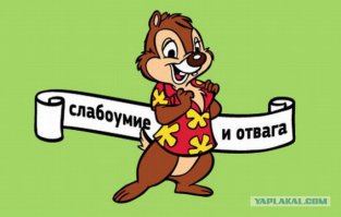 Так чем же закончились опыты?