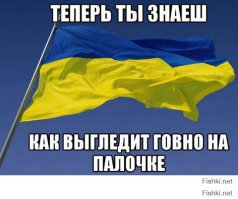 что они так не гордо держат тряпку