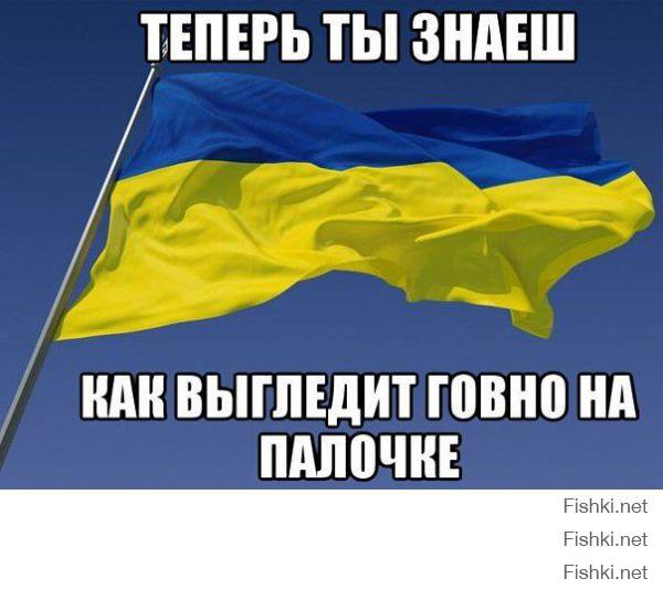 что они так не гордо держат тряпку