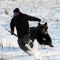 Звери на охоте