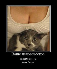 Куда пялимся?!