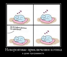 IT новости c крайнего севера