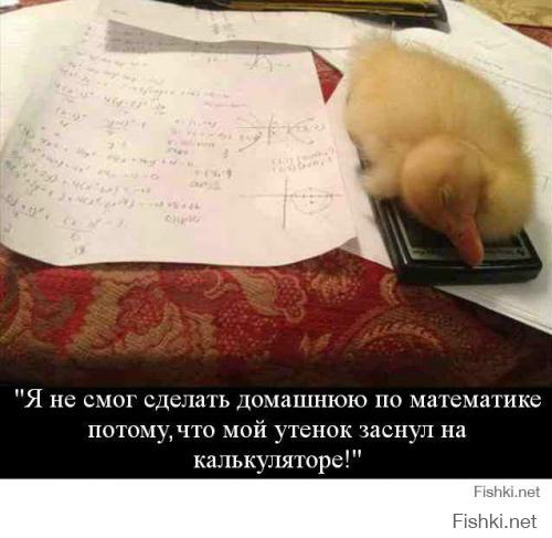 не СМОГ, то есть ты "мужик" и твое домашнее животное, утенок!???