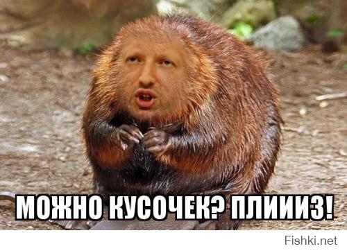 Сало героям