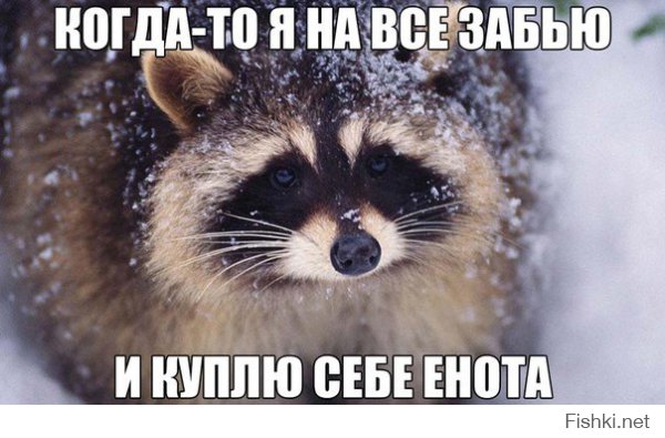Енот-механик
