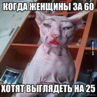 Демониваторы про котов